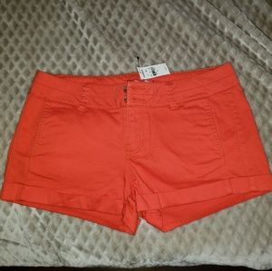 NWT Express Shorts